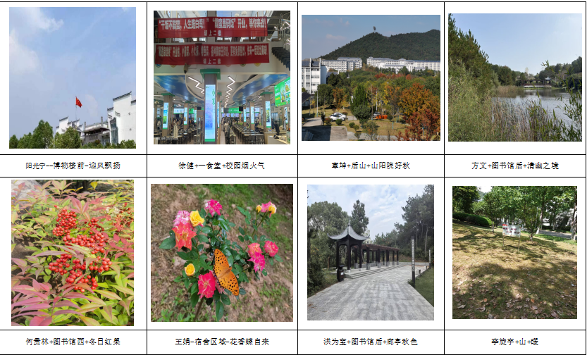 755b81351a1114cd6150a7d0827051f9