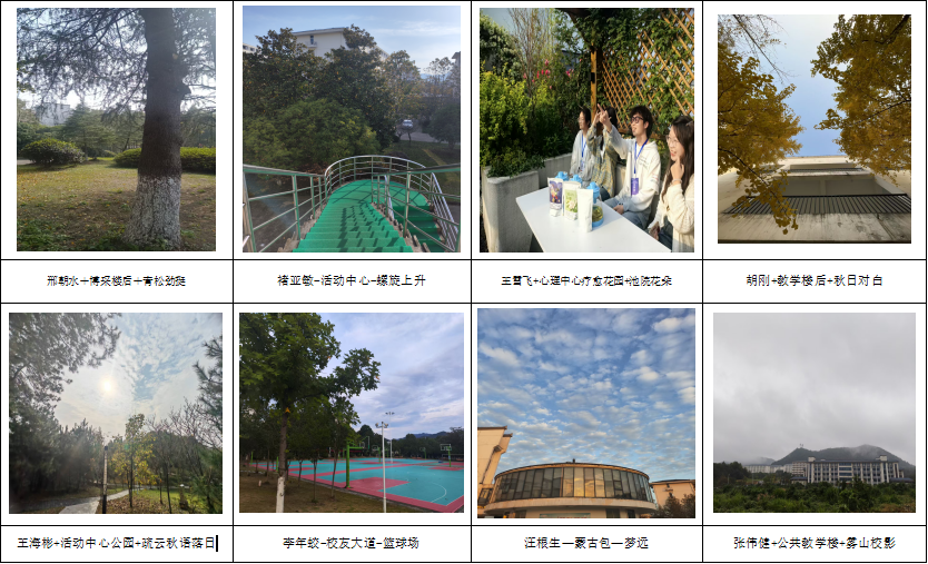 2c3fd592932a98bb23a228f3f4013284